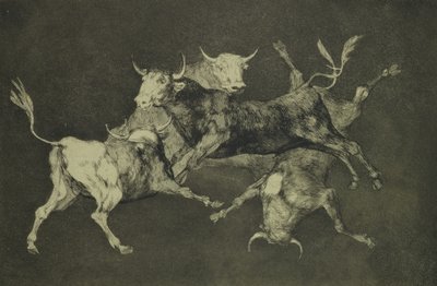 Dwaasheid van de Stieren, uit de serie Follies, ca. 1815-24 door Francisco de Goya